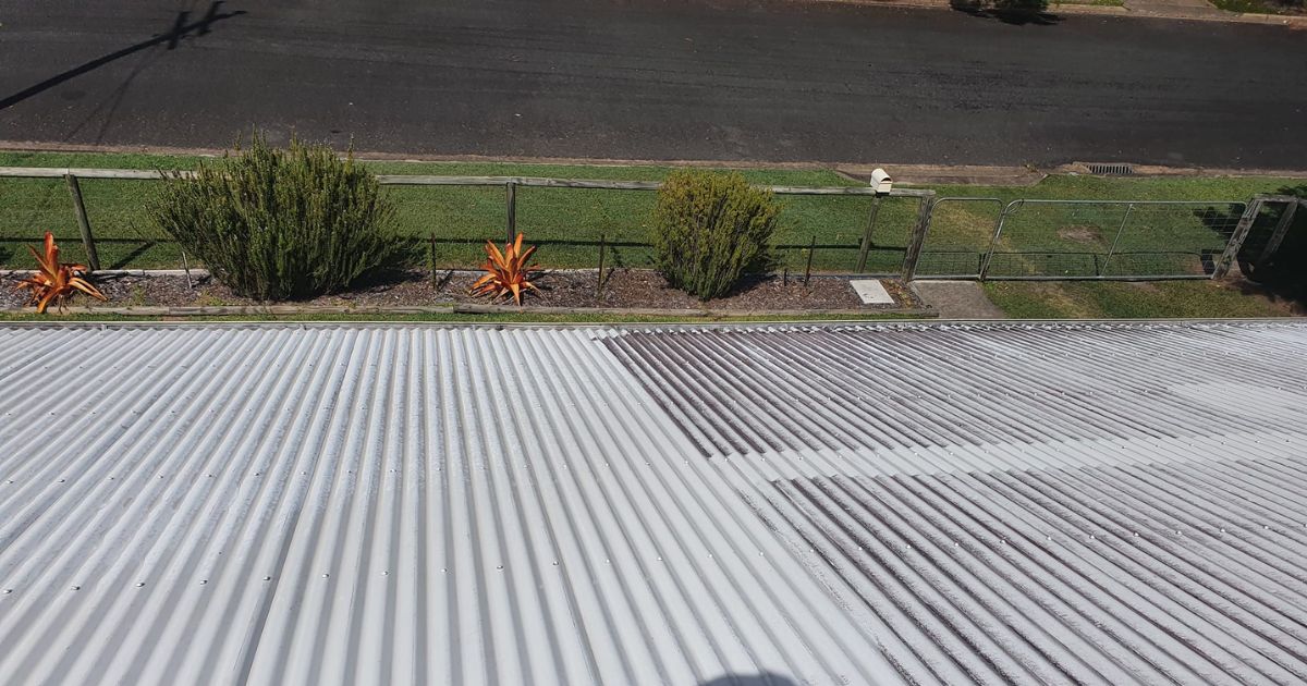 Roof Cleaning