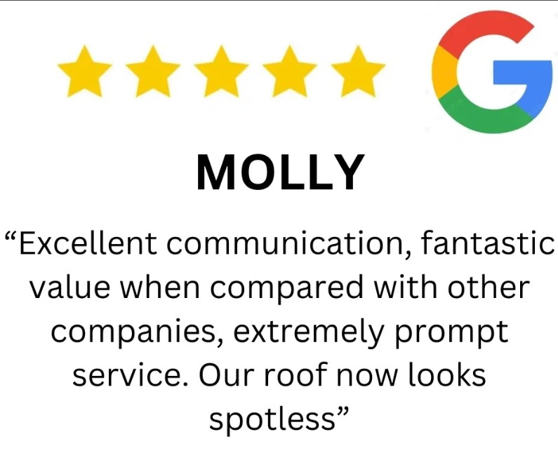 Google Review Molly