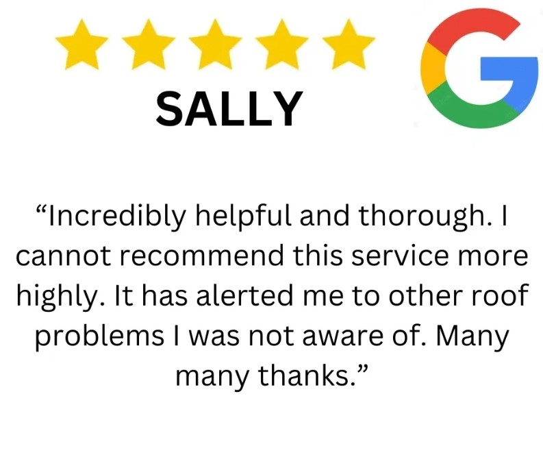 Google Review Sally